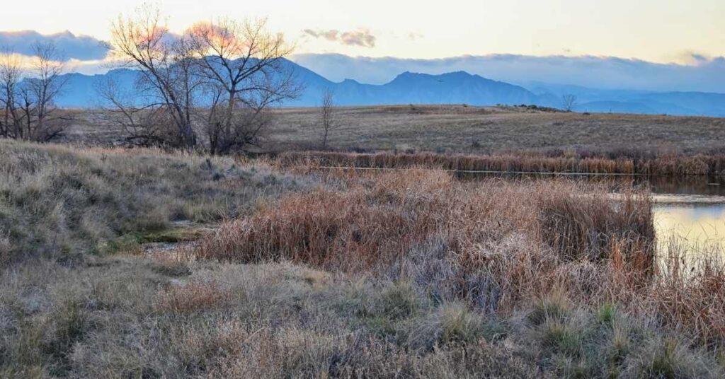 A scenic view of a Broomfield, CO open space trail, showing the foothills and a natural wetland, perfect for dog walking