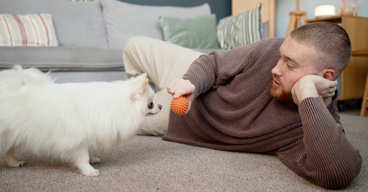 A happy dog engaging in indoor enrichment activities like scent work and mental puzzles to stay active during a Colorado winter.